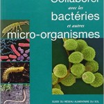 micro organismes