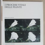 processi vitali delle piante